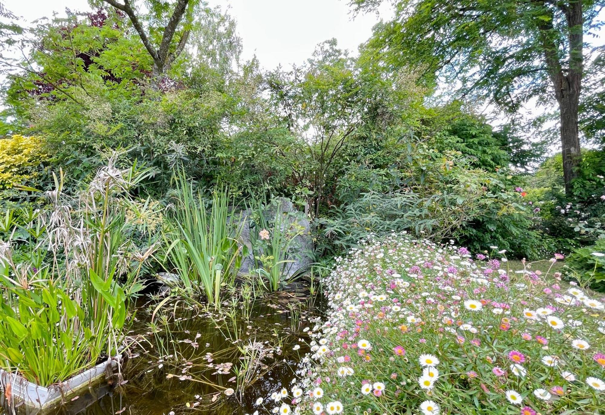Chambre De Charme Dans Un Jardin De 1500M2 Nueil-sur-Layon Extérieur photo